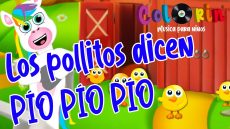 Cancion para niños - Los pollitos dicen pio pio pio - Colorin Cuenta