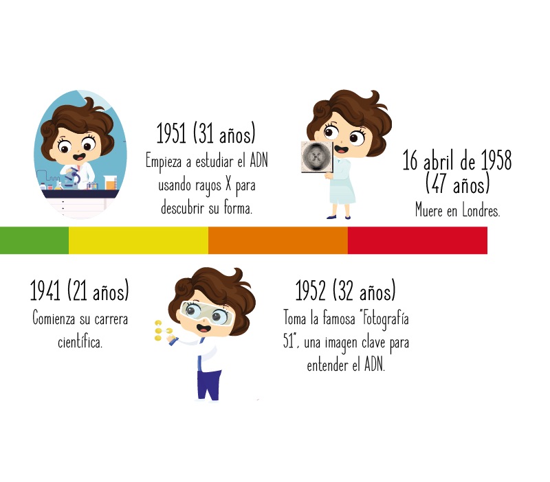 Fechas importantes de Rosalind Franklin